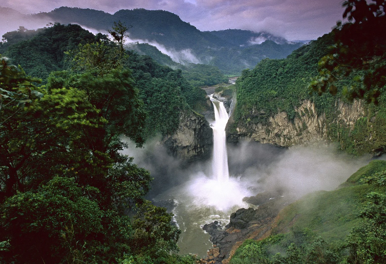 The Amazon Rainforest, South America